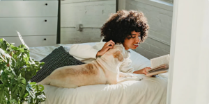 Reasons to Protect Your Indoor Air Quality