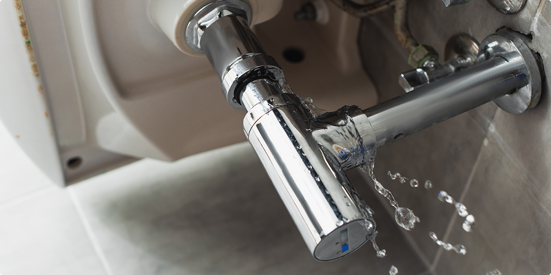 Drains Services And Plumbing Solutions Near Southwest Florida