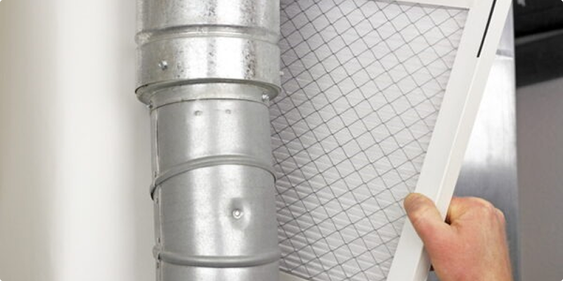 Recognizing and Combating Pests in Your HVAC System