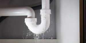 Sneaky Leaks: Detect and Combat High Water Bills in Your Florida Home