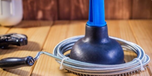 How-to-Eliminate-Fruit-Flies-in-Your-Florida-Home_-A-Complete-Guide.